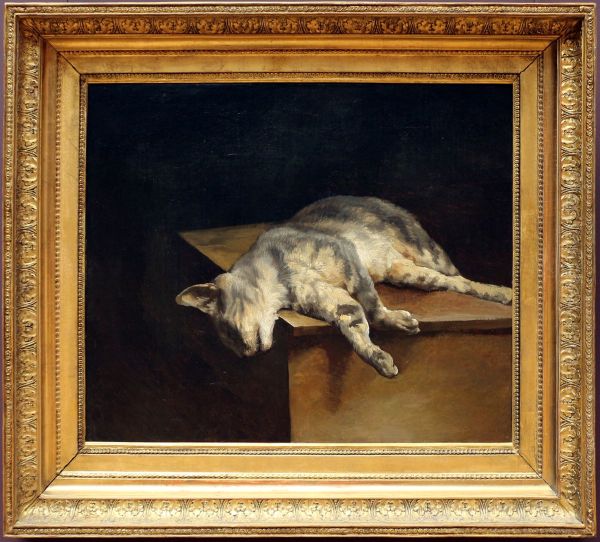 Chat mort - view 1