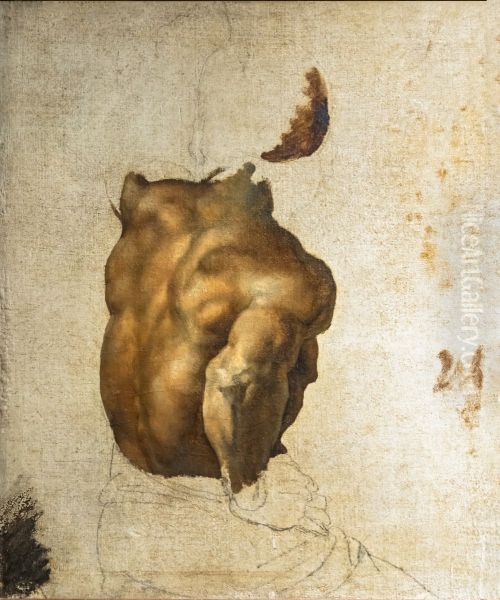 Negro torsoFrancais:Torse de negreItaliano:Torso di negro - view 1
