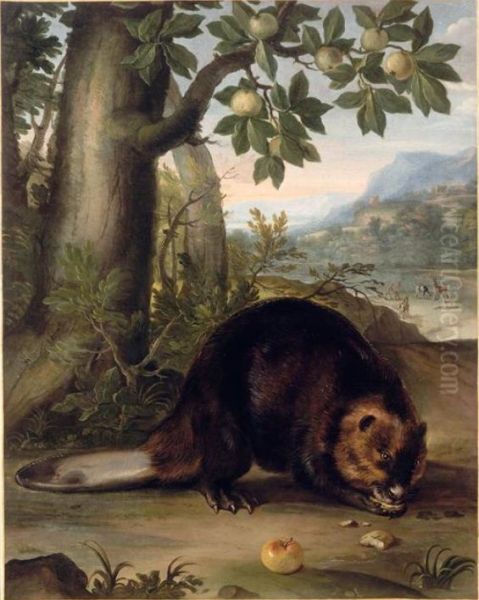A beaver - view 1