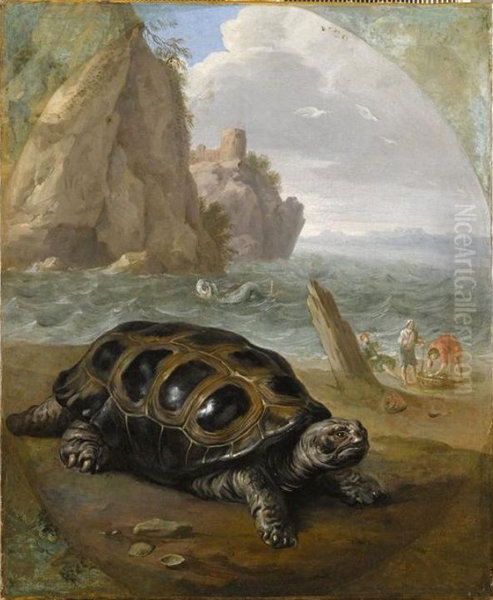 Sea turtle - view 1