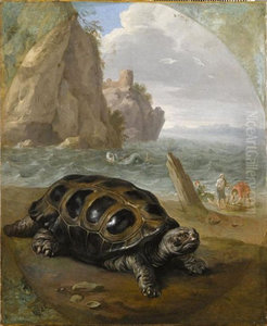 Sea turtle