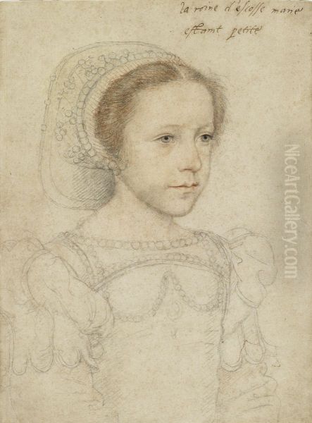 Mary, Queen of Scots - view 1