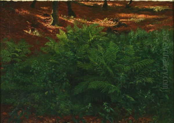 Forest floor in the sun - view 1
