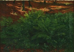 Forest floor in the sun