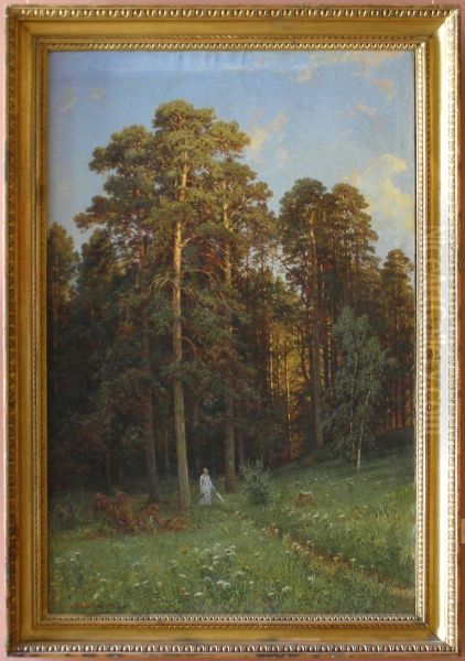 The Edge of a Pine Forest - view 1