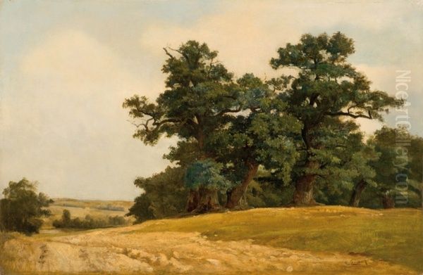 Landscape with oaks - view 1