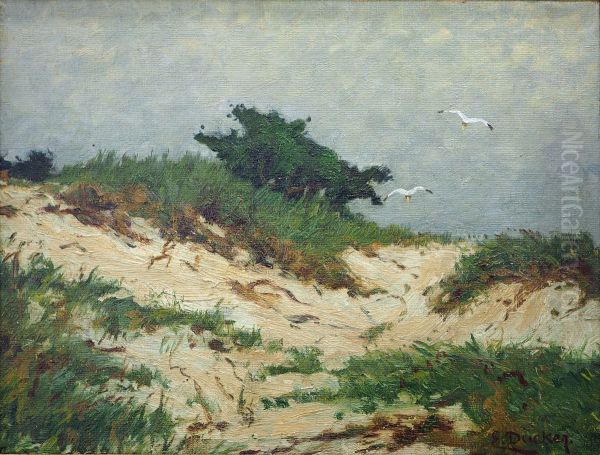 In the Dunes - view 1