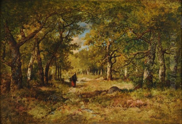 Foret de Fontainebleau - view 1