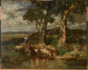 Moutons a l'abreuvoir