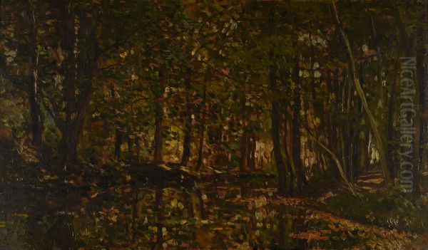 Ruisseau sous bois - view 1
