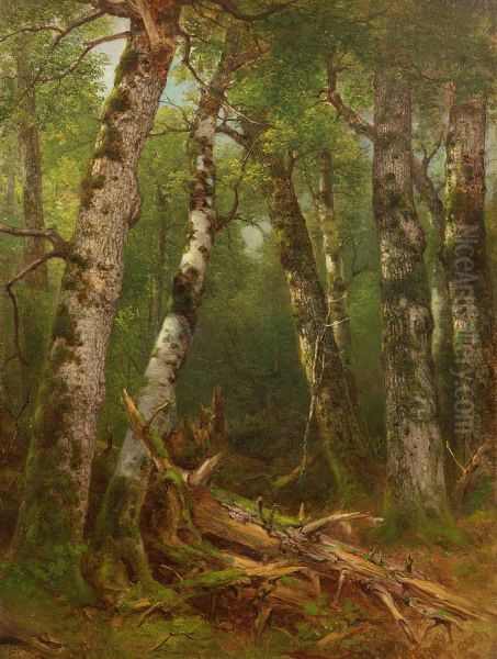 Group of Trees - view 1