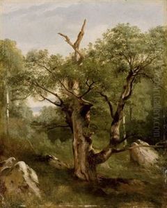 a study of a tree a study of a tree