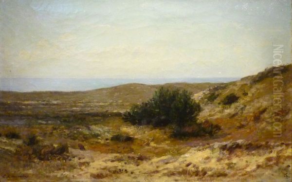 Montalivet (Gironde) - view 1