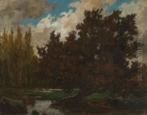 The Pond of Bambois