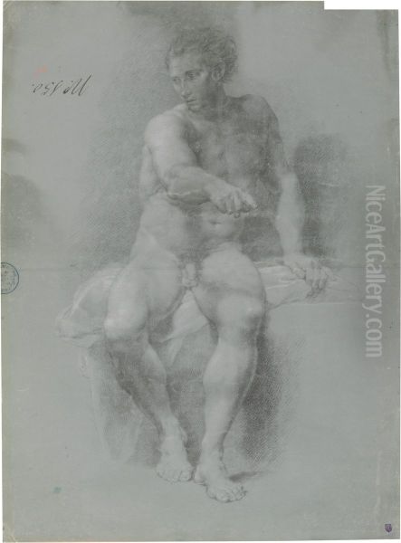 Academia, Study of a Male Figure - view 1