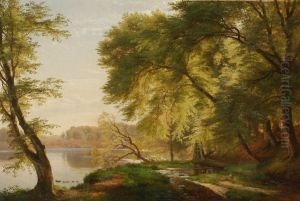 Summer day at a forest lake