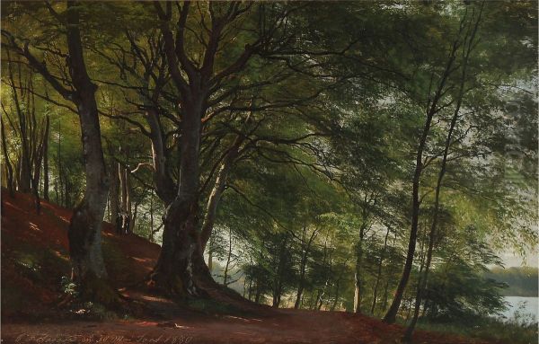 Forest scene from Soro, Denmark - view 1
