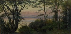 Coastal woodland at evening. by Carl Frederik Aagaard