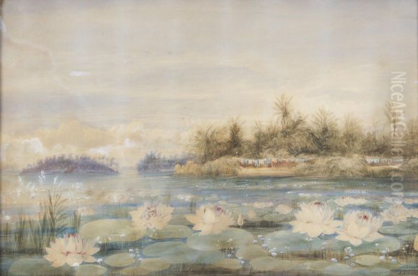 Water lilies in front of Ceylon - view 1