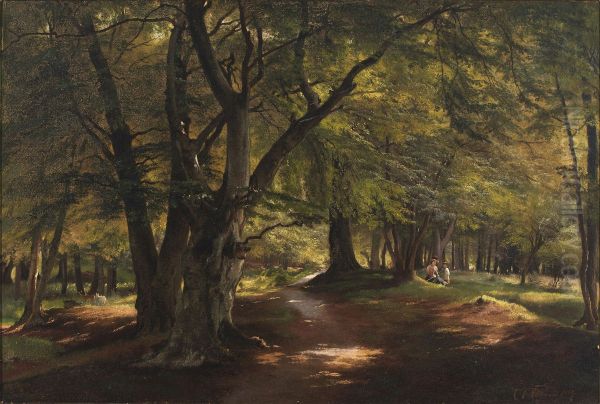 Scenery from Dyrehaven - view 1