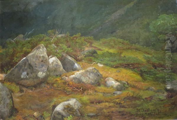 Stein og lyng - view 1
