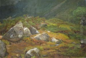 Stein og lyng by Anders Askevold
