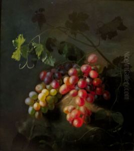 Grapes Grapes