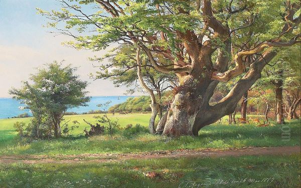 A glade with an old oak tree and some deer. - view 1