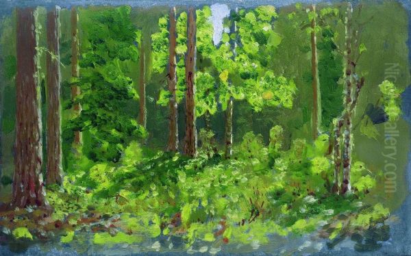 Forest - view 1