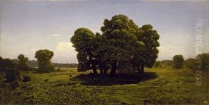 Oaks