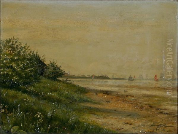 View of a coast with numerous ships. - view 1
