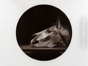 Flogging Baroque Horse by Hynek Martinec