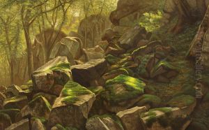 Moss-covered stones in Paradisdalen ("Paradise Valley") on Bornholm, Denmark. by Johannes Herman Brandt