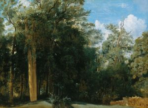 Fontainebleau. Lisiere de foret avec un petit mur