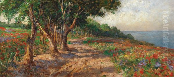 Elm-lined promenade in Euxinograd - view 1