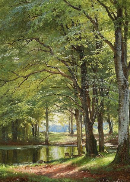 A stream running through a forest. - view 1