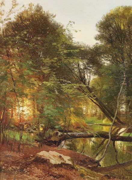 A stream running through a forest at sunset. - view 1