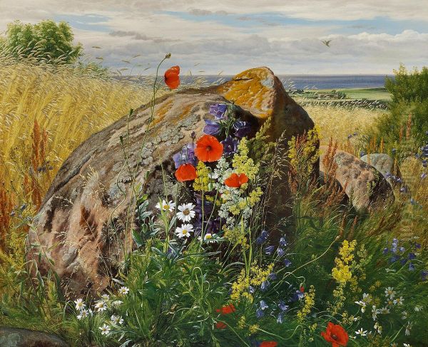 Wildflowers by a Cornfield. - view 1