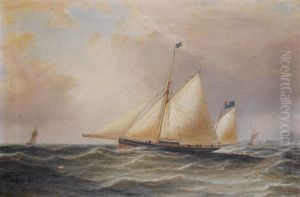The celebrated racing yawl Julia, R.Y.S. by William Clark