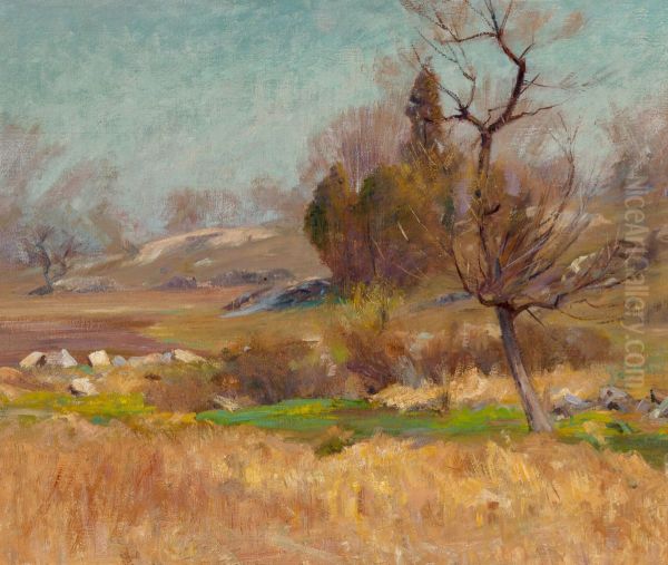 Rocky Hillside - view 1