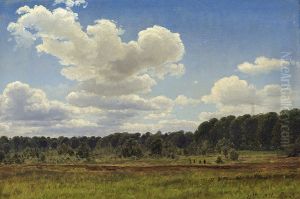 A raised bog.
