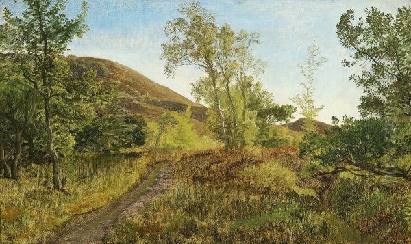 A hilly landscape. - view 1