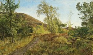 A hilly landscape. A hilly landscape.