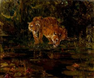 Tigers drinking