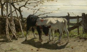 The calves