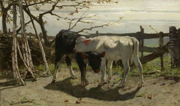 De kalfjes - view 1