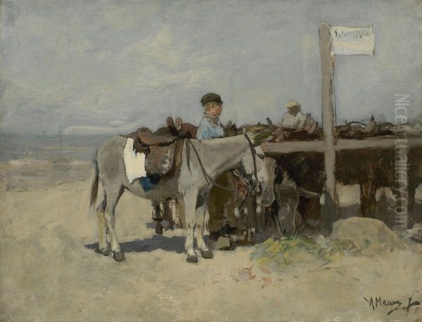 Donkey stand on the beach at Scheveningen - view 1