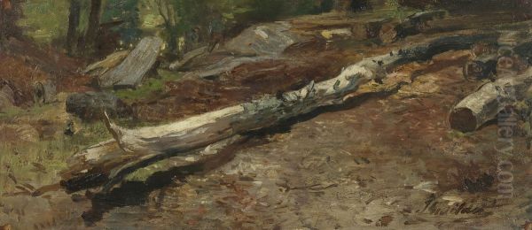 Tree trunk - view 1