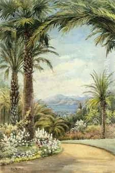 Palms Above The Mediterranean Coast - view 1
