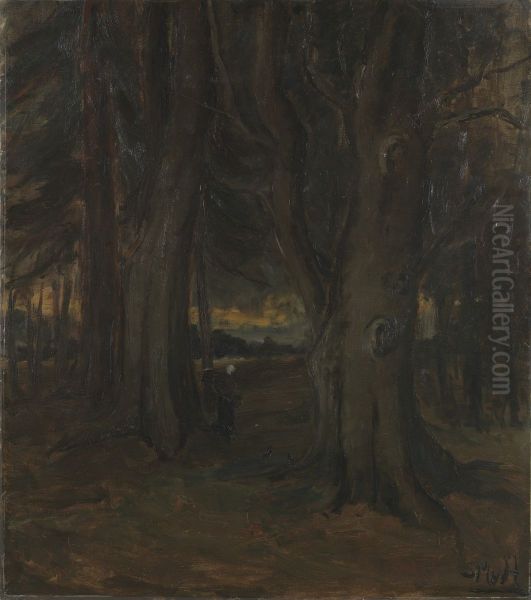 Bosgezicht - view 1